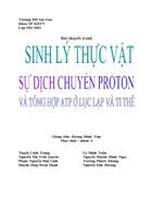 Sự dịch chuyển proton