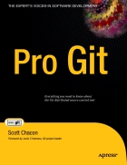 Pro Git