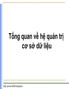 Tổng quan về hệ quản trị cơ sở dữ liệu 1