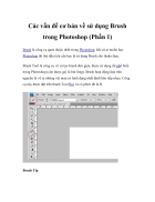 Các vấn đề cơ bản về sử dụng Brush trong Photoshop