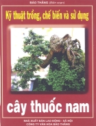 Kỹ thuật trồng chế biến và sử dụng cây thuốc nam một loại thuốc rất hiệu quả mà rẻ tiền công hiệu ngang với thuốc của Tây