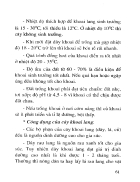 39 loại cây thức ăn gia súc