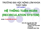 Hệ thống tuần hoàn recirculation system