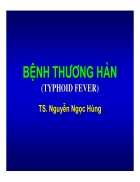 Giải phẫu bệnh bệnh thương hàn