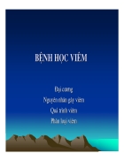 Giải phẫu bệnh viêm 2