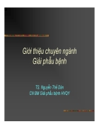 Giới thiệu chuyên ngành Giải phẫu bệnh