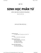 Sinh Học Phân Tử