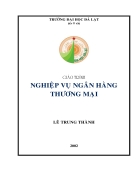 Giáo trình nghiệp vụ các ngân hàng thương mại TG Lê Trung Thành