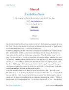 Ebook Canh Rau Sam Marcel