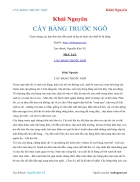 Ebook CÂY BÀNG TRƯỚC NGÕ Khải Nguyên