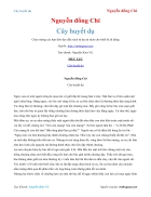 Ebook Truyện Cây huyết dụ