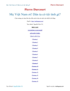 Ebook Mẹ Việt Nam ơi Dân ta có tội tình gì Pierre Darcourt