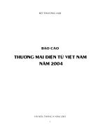 Báo cáo Thương mại điện tử Việt Nam năm 2004