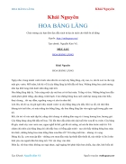 Ebook HOA BẰNG LĂNG Khải Nguyên