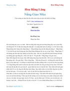 Ebook Nắng Giao Mùa Hoa Bằng Lăng