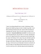 Ebook BÔNG HỒNG CÀI ÁO Thích Nhất Hạnh