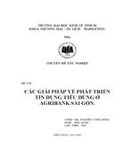 Các giải pháp phát triển tín dụng tiêu dùng ở AGRIBANK SAI GON