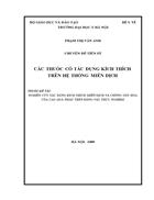 Nghiên cứu tác dụng kích thích miễn dịch và chống oxy hóa của cao quả nhàu trên động vật thực nghiệm