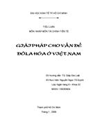 Giải pháp cho vấn đề đôla hóa ở việt nam