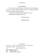 Chiến lược kinh doanh của Việt Nam airlines