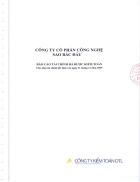 Báo cáo tài chính của công ty cổ phần sao bắc đẩu