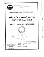 Tổ chức lao động tại công ty Sao Việt