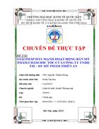 Giải pháp đẩy mạnh hoạt động bán mỹ phẩm chăm sóc tóc của Công ty TNHH TM DV Mỹ phẩm Thiên An 1