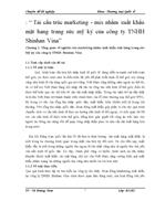 Tái cấu trúc marketing mix nhằm xuất khẩu mặt hang trang sức mỹ ký của công ty TNHH Shinhan Vina