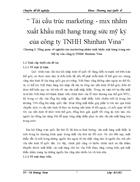 Tái cấu trúc marketing mix nhằm xuất khẩu mặt hang trang sức mỹ ký của công ty TNHH Shinhan Vina 3