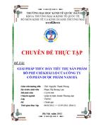 Giải pháp thúc đẩy tiêu thụ sản phẩm Bổ phế Chỉ khái lộ của Công ty cổ phần dược phẩm Nam Hà