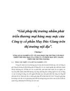 Giải pháp thị trường nhằm phát triển thương mại hàng may mặc của Công ty cổ phần May Đức Giang trên thị trường nội địa