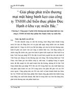 Giải pháp phát triển thương mại mặt hàng bánh kẹo của công ty TNHH chế biến thực phẩm Đức Hạnh ở khu vực miền Bắc 1