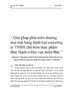 Giải pháp phát triển thương mại mặt hàng bánh kẹo của công ty TNHH chế biến thực phẩm Đức Hạnh ở khu vực miền Bắc