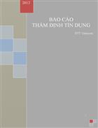 Báo cáo thẩm định tín dụng