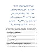 Giải pháp phát triển thương mại dịch vụ phân phối mặt hàng Hạt nêm Maggi Ngon Ngon Gà tại công ty TNHH Gia Phát trên thị trường Hà Nội