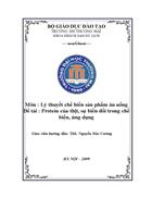 Protein của thịt sự biến đổi trong chế biến ứng dụng 1