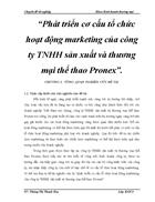 Phat trien co cau to chuc hoat dong marketing cua cong ty TNHH san xuat va thuong mai the thao Pronex 1