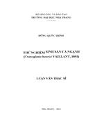 Thử nghiệm sinh sản cá ngạnh Cranoglanis henrici Vaillant 1893