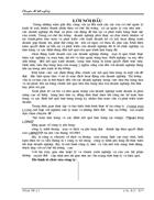 Kế toán bán hàng và xác định kết quả bán hàng tại côngty tnhh phi long