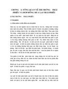 Báo cáo về công ty chứng khoán ACB