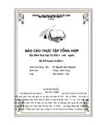 Bao cao thuc tap tong hop tai Vu Dau tu nuoc ngoai