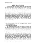 Hoạt động kinh doanh của PJICO