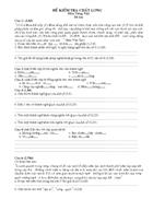 Đề kiểm tra chất lượng môn Tiếng Việt