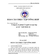 Báo cáo thực tập tổng hợp Công ty cổ phần Cơ giới và xây lắp số 12 – LICOGI 12