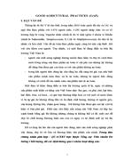 Good agricutural practices (gap)