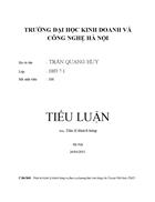 Phân tích tâm lý khách hàng và đưa ra phương thức bán hàng cho Toyota Việt Nam (TMV)