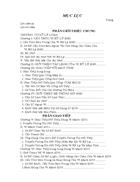 Vi Xửỷ Lyự 8085