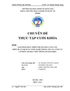 Giải pháp phát triển thị trường cung cấp thiết bị và dịch vụ công nghệ thông tin của Công Ty Cổ Phần Tin Học Viễn Thông Petrolimex 1