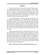 Báo cáo thực tập tổng hợp của đài truyền hình Việt Nam