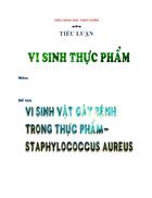 Vi sinh vật gây bệnh trong thực phẩm Staphylococcus aureus